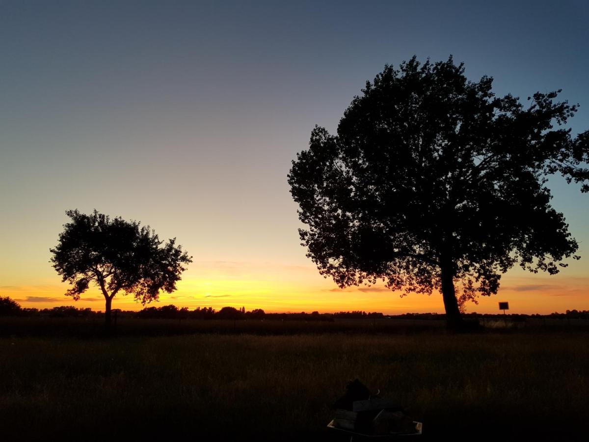 Fewo Abendrot Insel Poel Εξωτερικό φωτογραφία